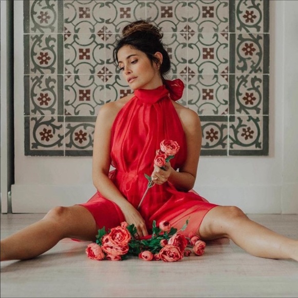 LAST 1️⃣-NWT Zara Mini Organza Dress - Picture 10 of 15